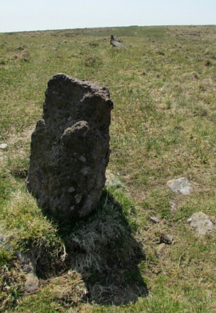 Dartmoor Stone tow