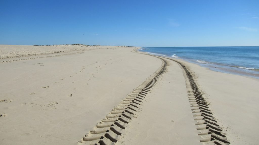 A large expanse of sand with tractor tyre tracks and a gentle sea